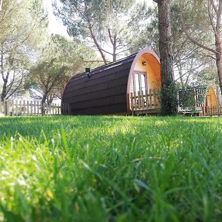 מלון Glamping סינטרה מראה חיצוני תמונה