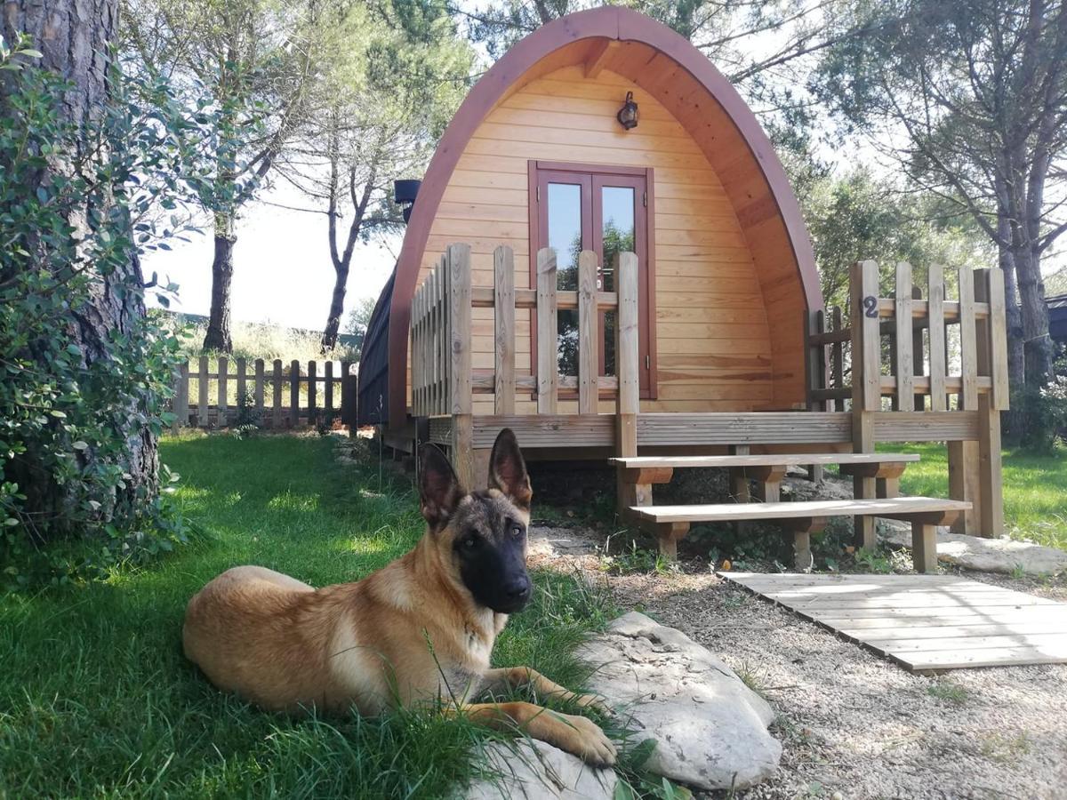 מלון Glamping סינטרה מראה חיצוני תמונה