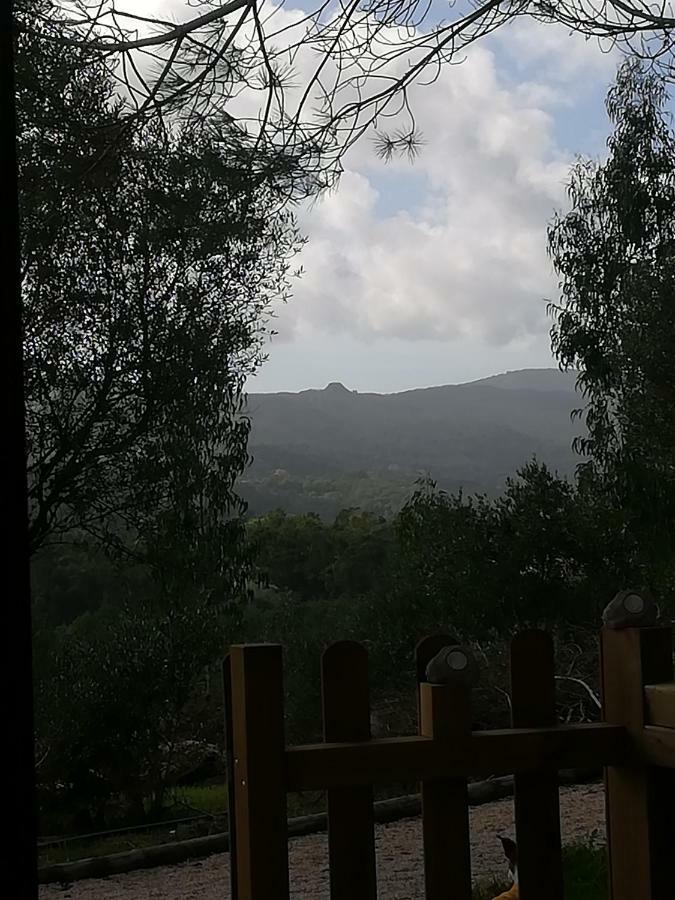 מלון Glamping סינטרה מראה חיצוני תמונה